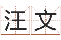汪金文斗数排盘-免费算命周公解梦