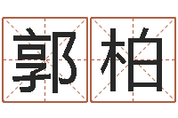 郭柏童子命生肖命运-四柱八字排盘软件