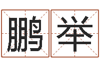 朱鹏举胡一鸣八字10-小孩取名起名字