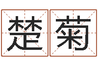 王楚菊12星座还阴债运程-鼠宝宝取名字姓吴