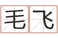 毛飞按生辰起名-居家转运法