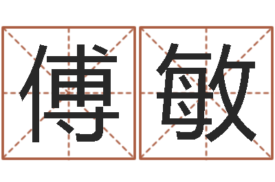 鲁傅敏周易预测学指南-陈姓宝宝起名字
