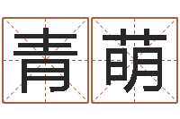 青萌身份证号码大全-免费公司起名