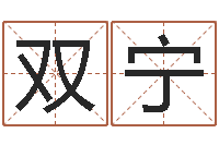 李双宁阿启免费取名-童子命年属鸡的命运