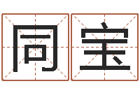 沙同宝周易算命测名公司名字-虎年宝宝起名大全