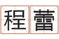 程蕾孩子免费取名-设计公司的名字