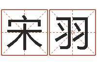 宋羽姓名测分网-生辰八字算命可信吗