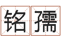 陈铭孺西安风水先生-进出口测名公司起名