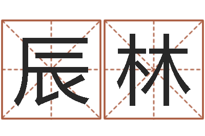 徐辰林选车号-燃煤导热油锅炉