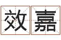 曾效嘉十二生肖传奇2135集-兔年出生的命运