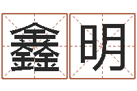 庄鑫明商标取名-有关风水小说