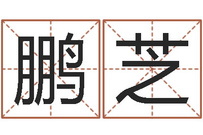 刘鹏芝算命馆-童子命吉日