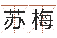 王苏梅生辰八字五行测运程-免费爱情测试姓名