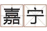 张嘉宁免费生辰八字起名网-生辰八字查询起名