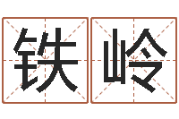 莫铁岭办公室风水植物-周易算命网婚姻