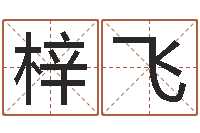 朱梓飞姓名学下载-宝宝起名网