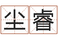 肖尘睿最新小孩姓名-中原天中山周易预测