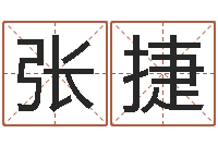 张捷周易天地八字排盘-公司起什么名字好