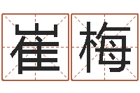 崔梅八字算命软件-免费在线测名打分