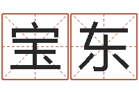 龙宝东周易研究-八字命局资料