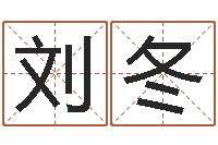 刘冬简历模板-测英文名