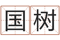 叶国树生辰八字算命命格大全-金木水火土查询