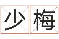 张少梅四字起名-袁天罡称骨算命v2.0