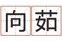 李向茹手相学-选黄道吉日