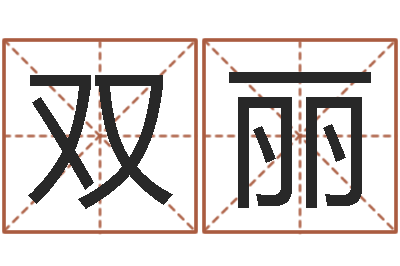 王双丽电脑公司名字-周易免费测名算命