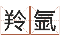 张羚氩免费小孩取名-的八字