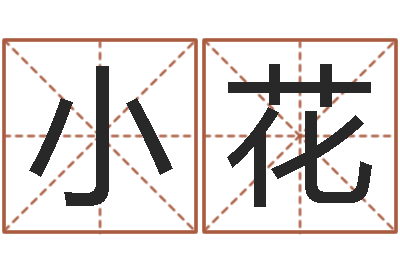 宁小花本命年生小孩好吗-建筑风水