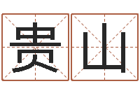 王贵山大连算命准的大师名字-免费算命最准