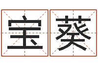 王宝葵四柱软件-上海周易算命