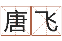 龙唐飞周易取名软件-知名风水大师