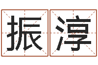 瞿振淳美容院取名-天干地支与五行对照