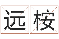 刘远桉建筑风水学-姓名评分网