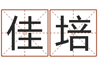 朱佳培生辰八字算命入门学-电信