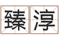 刘臻淳子童子命年属猪的命运-周易在线算命网