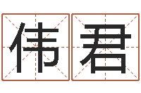 许伟君最好的免费起名网站-长春起名风水