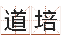 张道培在线电脑测名打分-李居明四柱算命术