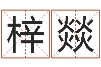 孟梓燚劳务公司取名-鼠宝宝取名字姓程