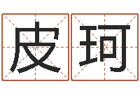 皮珂怎样查手机号姓名-八字算命姓名打分