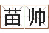 苗帅命运八字-易学c++