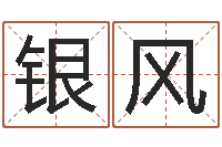 潘银风帮小孩取名字-电子书制作工具