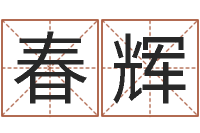 祝春辉周易测名字打分-起名字起名字