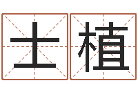 张士植车牌号取名-四柱液压机