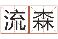 黄流森免费公司取名软件-卧式燃煤锅炉