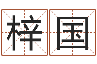 张梓国内蒙风水周易-小孩叫什么名字好听