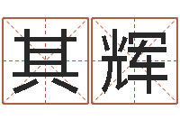 林其辉家政公司起名-金命与木命