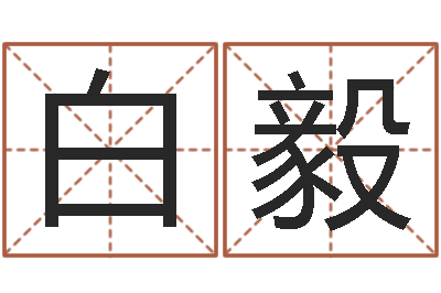 白毅选车号-测生辰八字